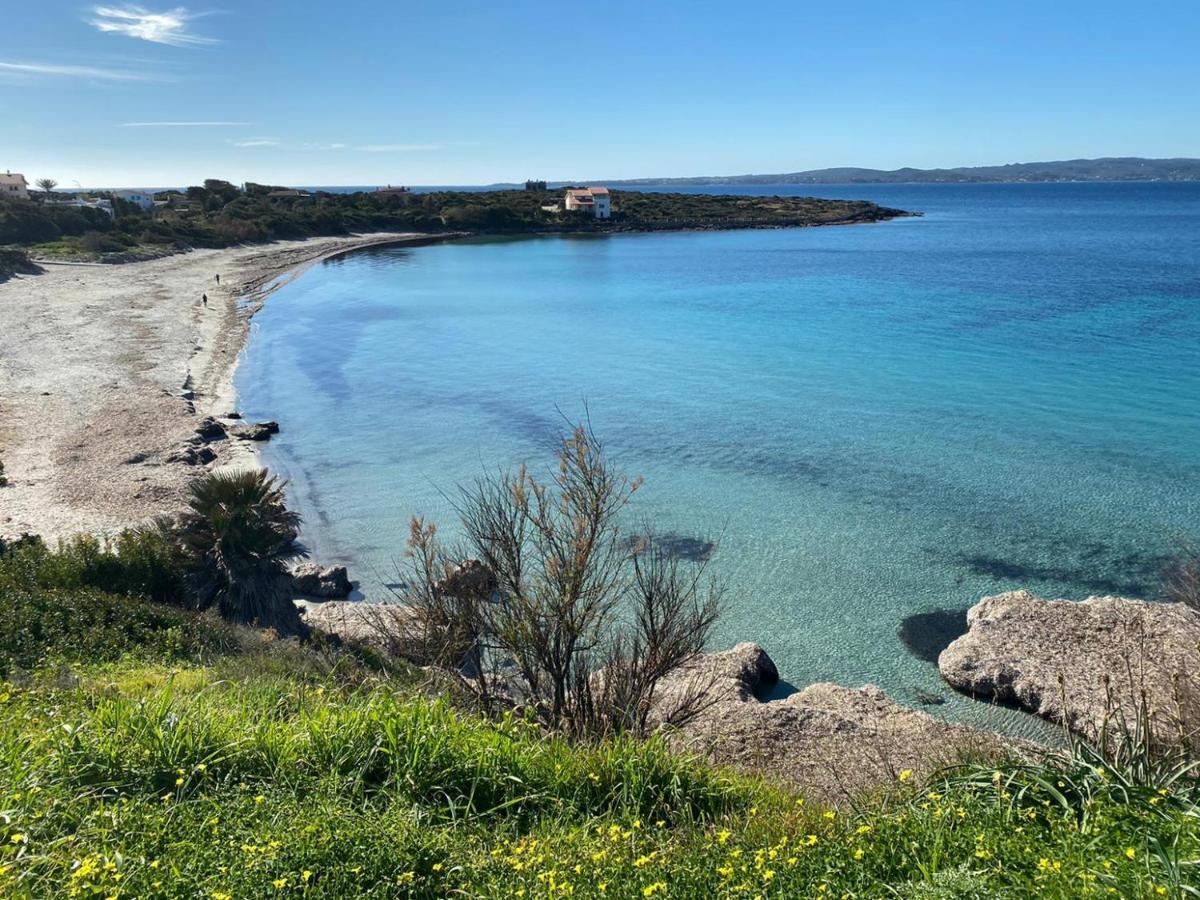 كالاسيتا I Fenicotteri - Appartamenti Sul Mare المظهر الخارجي الصورة